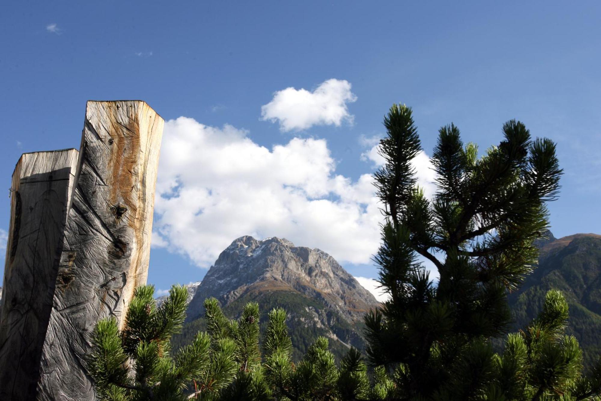 Traube Scuol